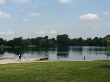 il parco del bosco in citta