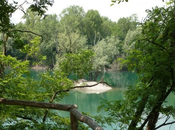 il parco del bosco in citta