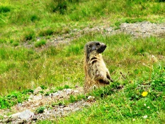 il parco dell'engadina