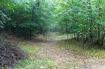 il parco della spinaverde