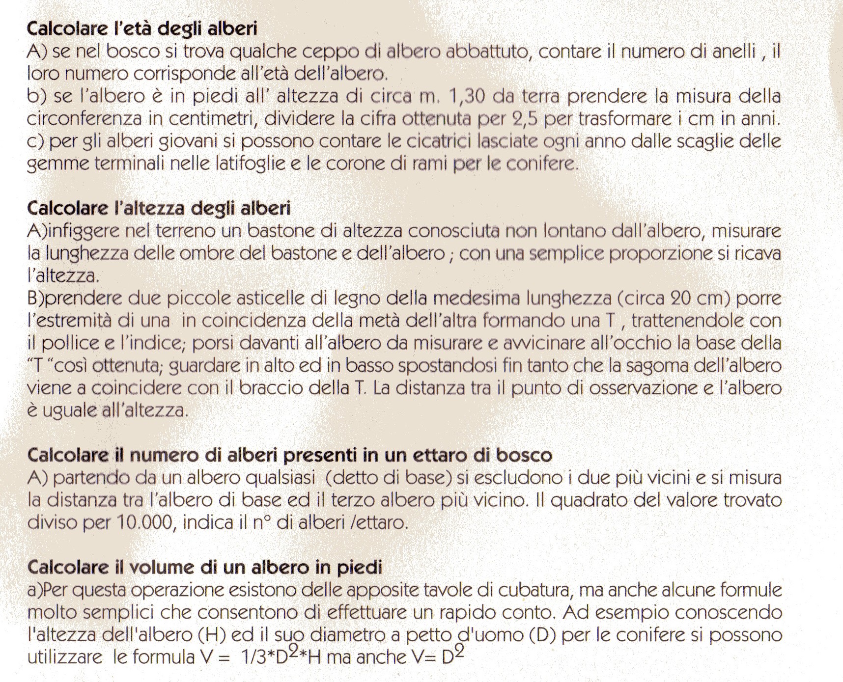 alberi curiosita