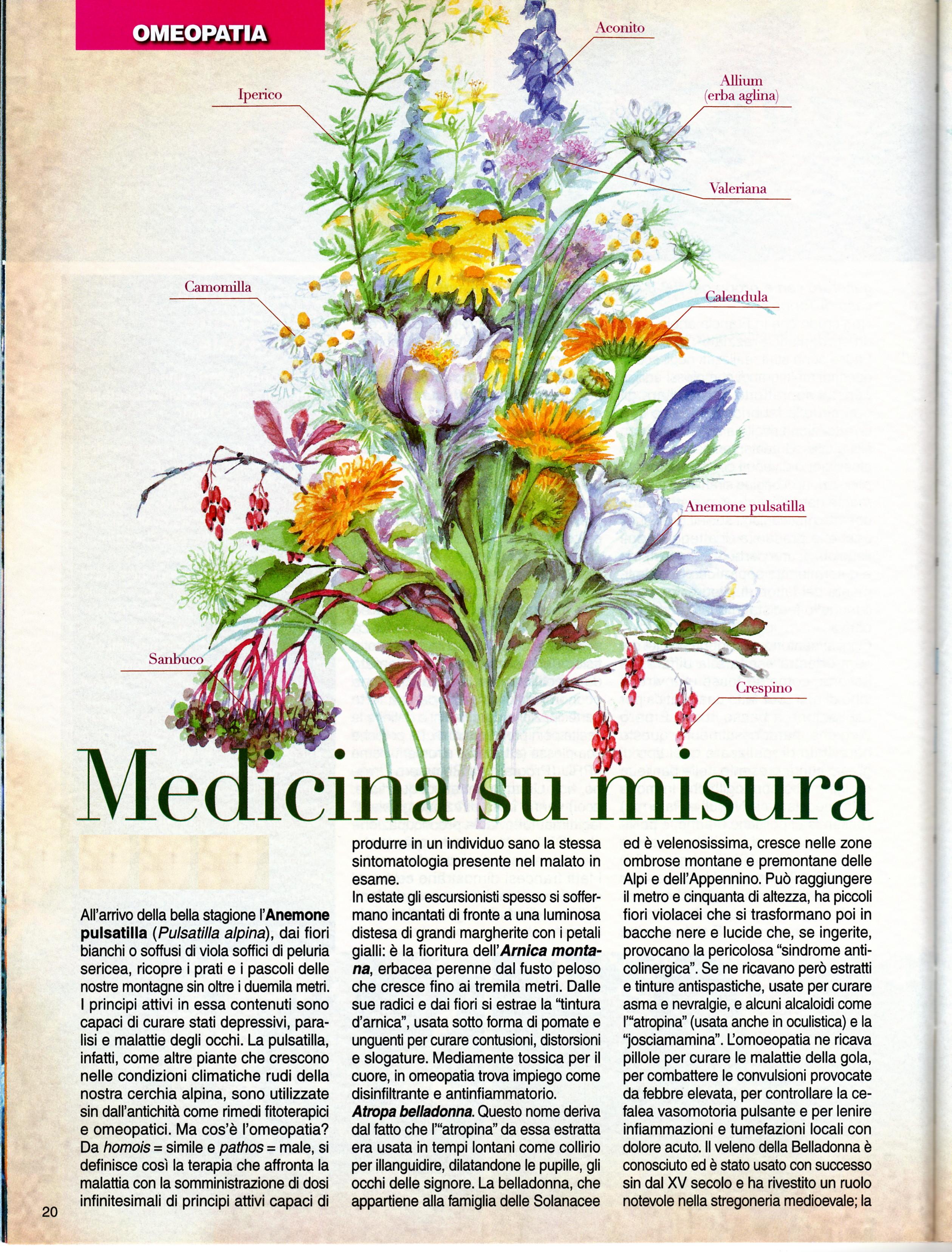 piante medicinali