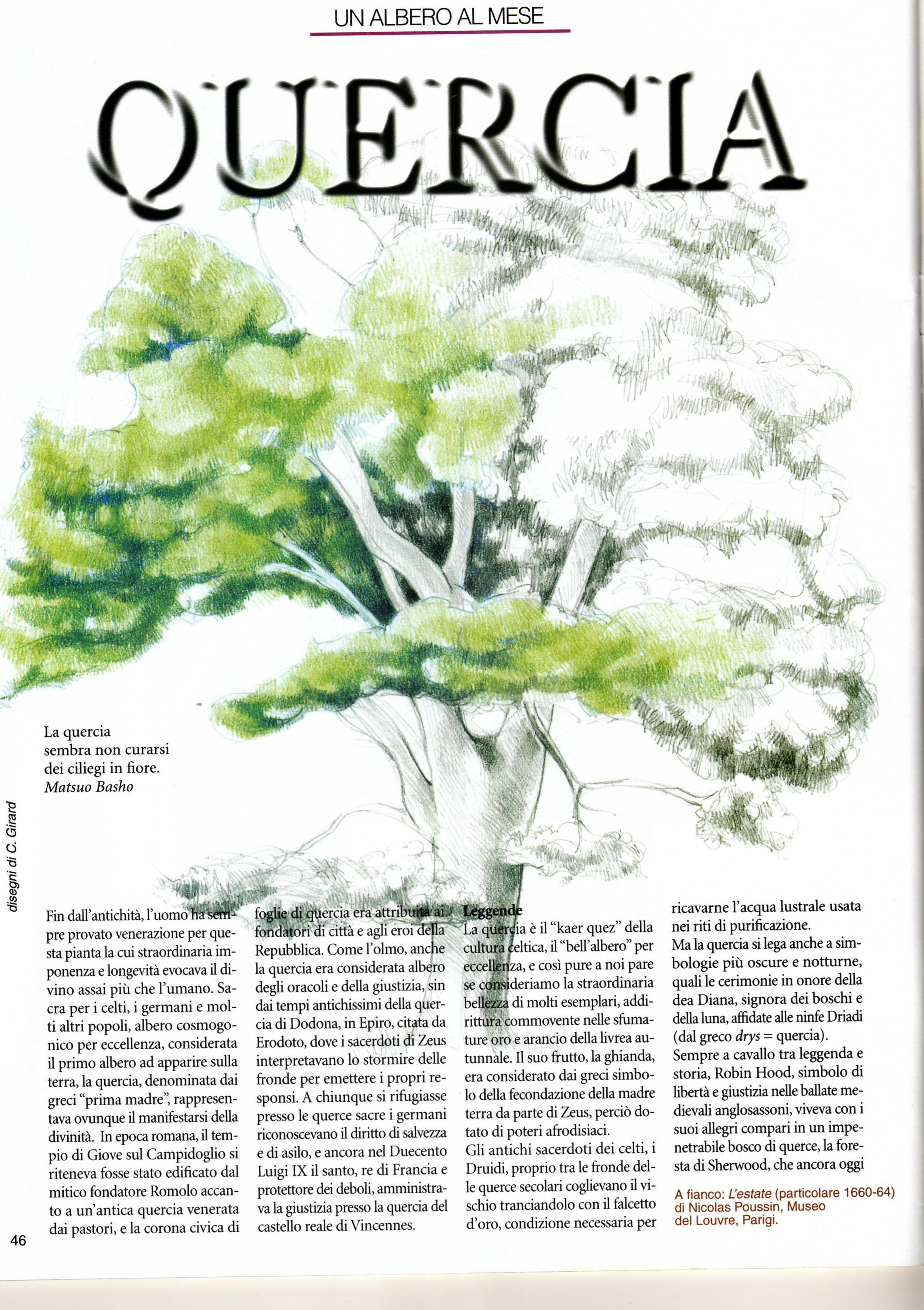 quercia